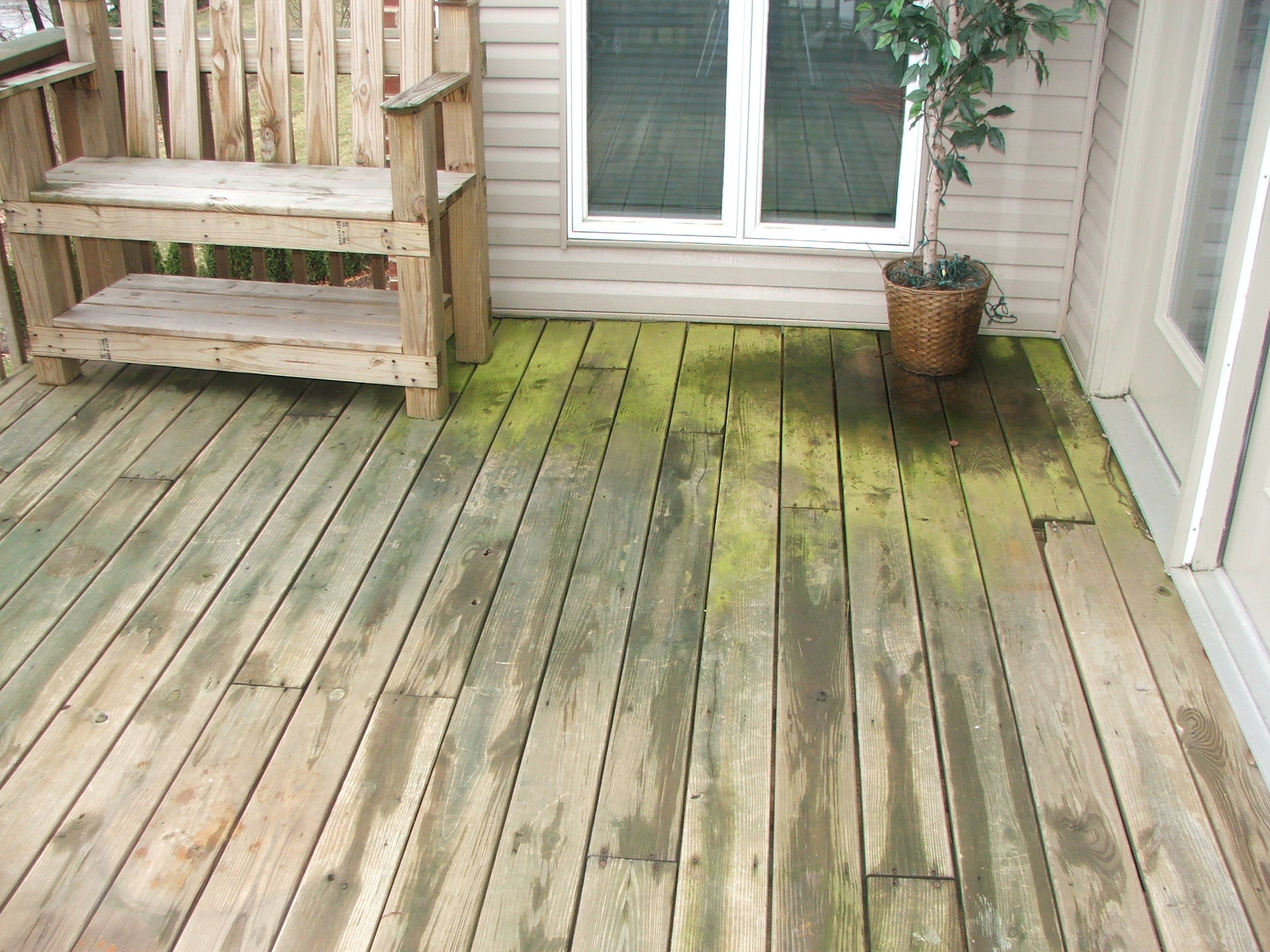 Weather, dirty, green-algae covered wood deck.