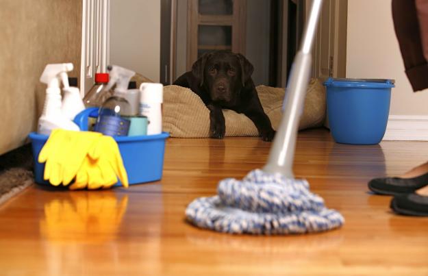 house cleaning pic mopping the floor