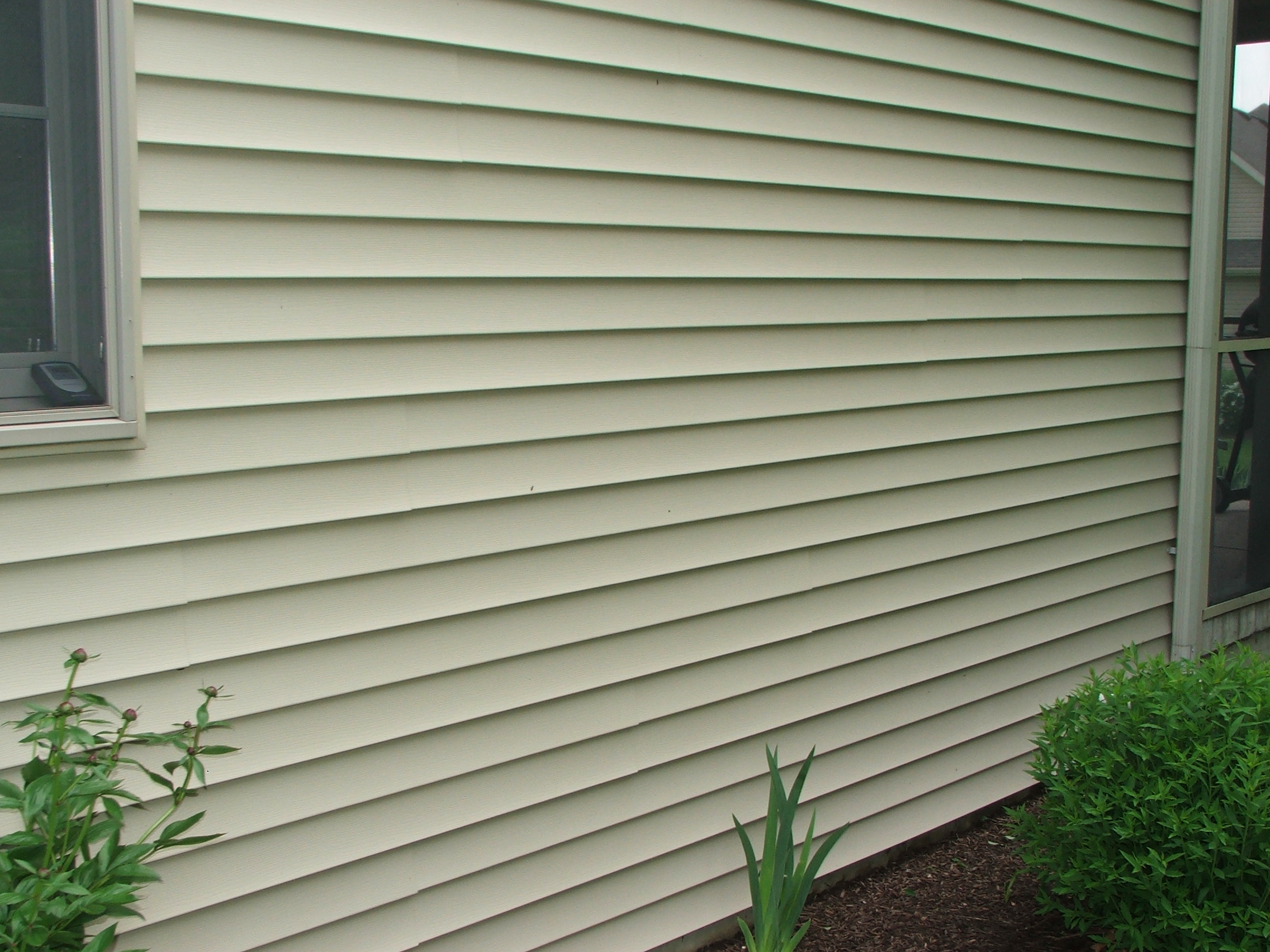 Vinyl siding after power washing and application of anti-growth algae product.